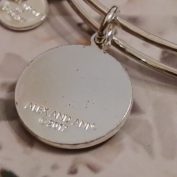 "We The North" Toronto Raptors Alex and Ani Bracelet-- Rare Find! - Picture 3 of 6